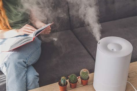 does a humidifier help with dust