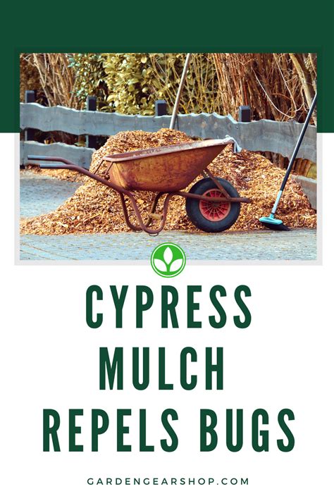 does cypress mulch repel bugs