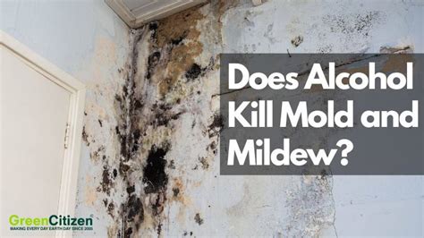 does isopropyl alcohol kill mold