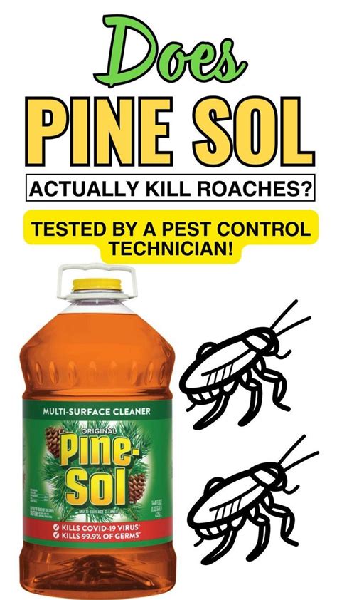 does pine sol kill roaches