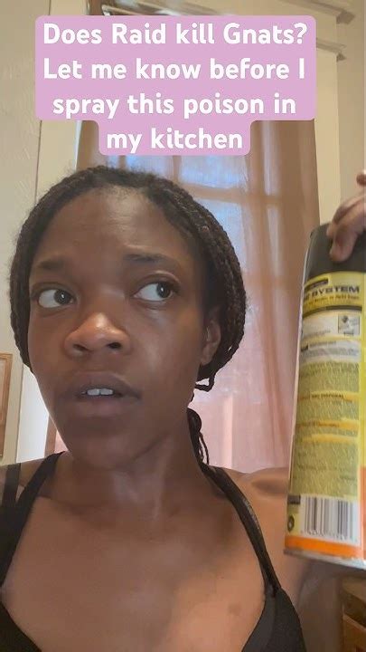 does raid kill gnats
