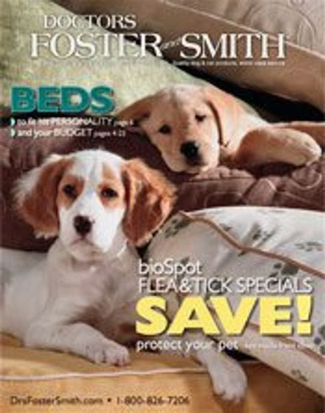 Dog Catalogs Foster