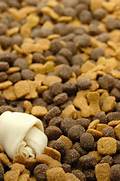 Natural Balance Sweet Potato and Fish for Dogs