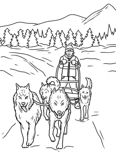 dog sled coloring pages