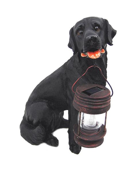 dog solar light