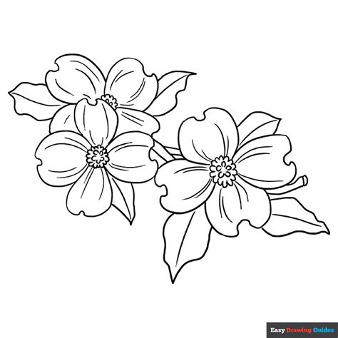 dogwood flower coloring page