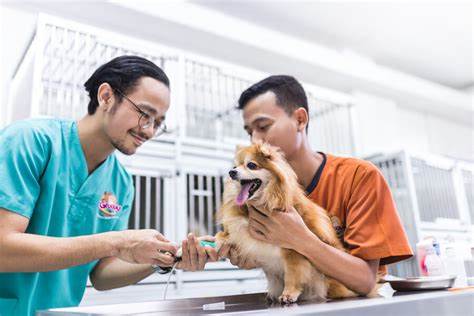 dokter hewan jakarta pusat