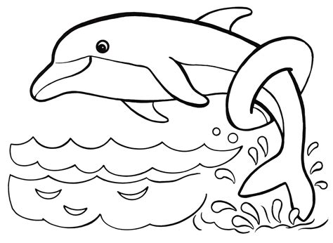 dolphin coloring page free