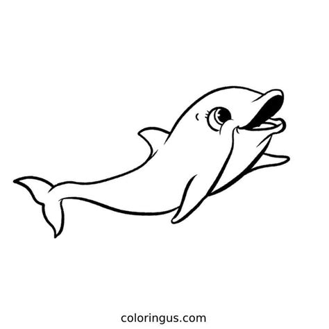 dolphin coloring printable
