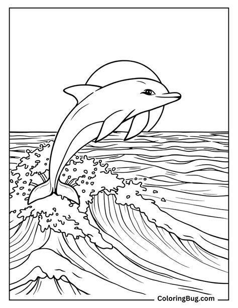 dolphin coloring sheet