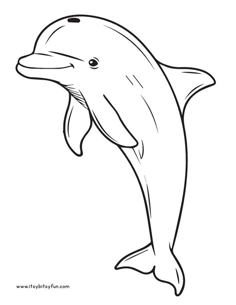 dolphin pictures to print