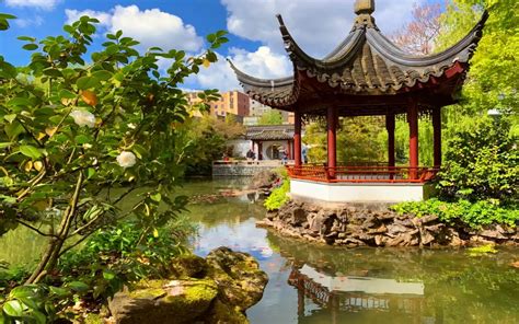 Dr. Sun Yat-Sen Classical Chinese Garden's Tea Room