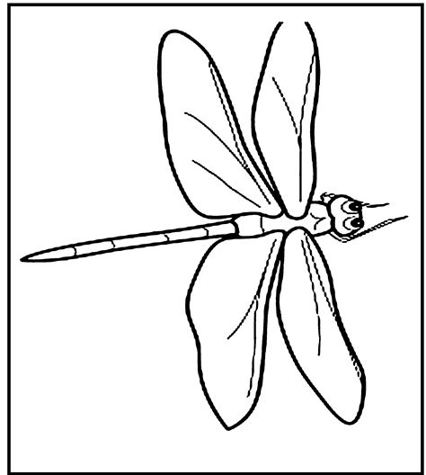 dragonfly coloring pages