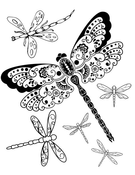 dragonfly coloring pages for adults