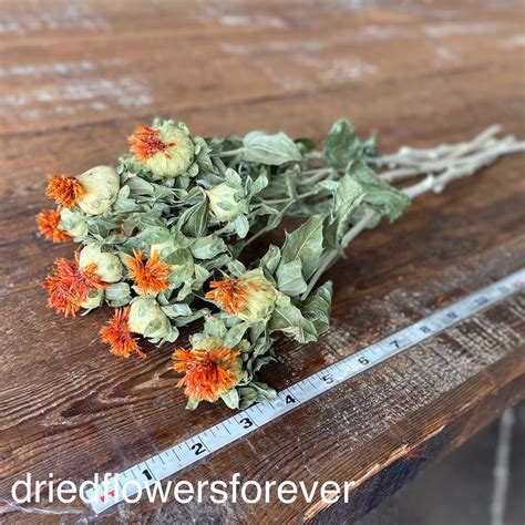 dried orange flowers
