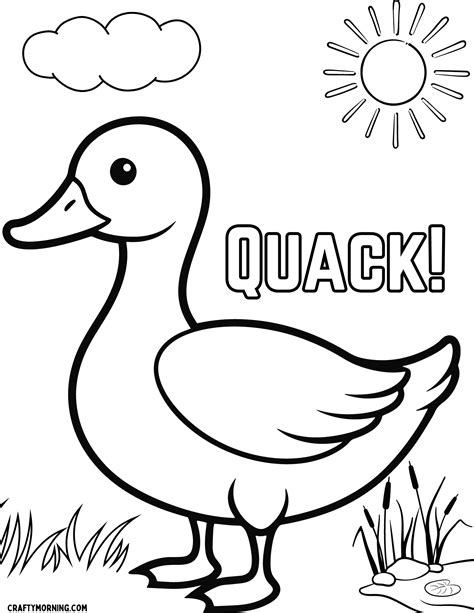 duck coloring sheets