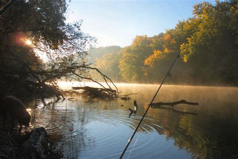 Early Morning Fishing