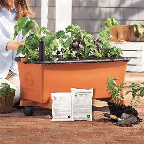 earthbox replant kit