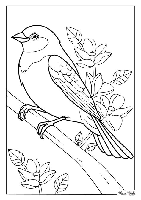 easy bird coloring pages