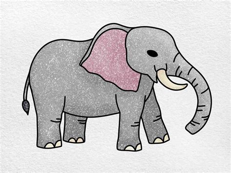 easy elephant drawing colour