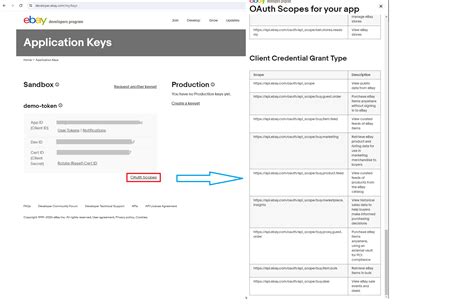 Ebay Catalog Api Access Token Missing