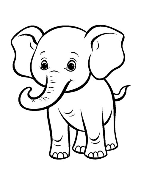 elephant colour picture