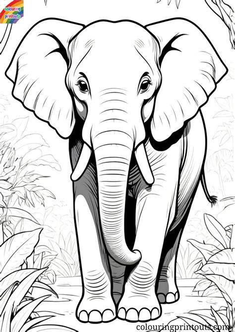 elephant colouring pages