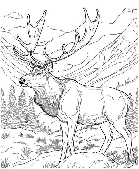 elk coloring page
