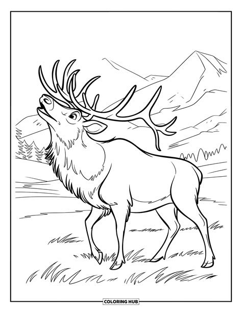 elk coloring sheet