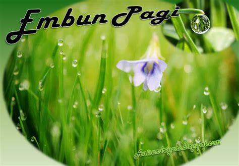 Embun Pagi
