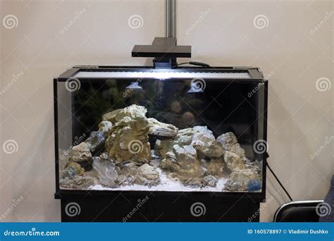empty aquarium with stone