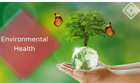 Environmental Health Programs