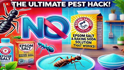 epsom salt for pest control