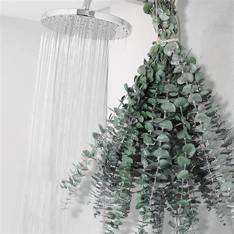 eucalyptus bundle