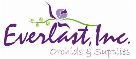 everlast orchids