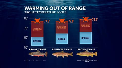 Excessive temperature for fishing trout