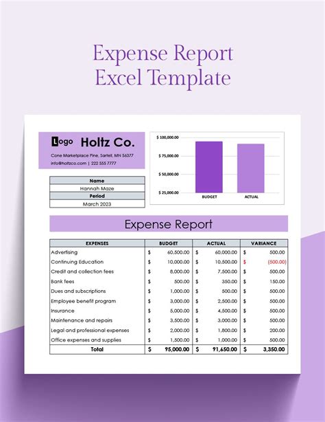 Expense Report Excel Template