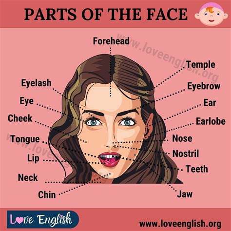 face with labels
