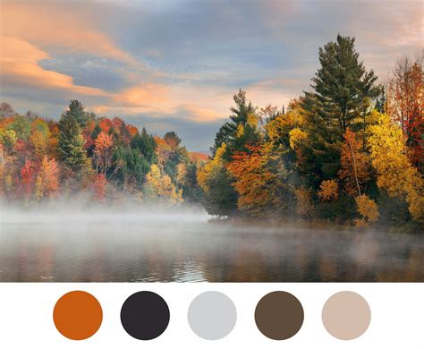 fall blue colors