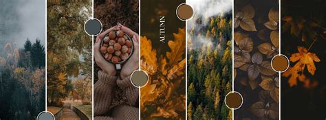 fall cover photos