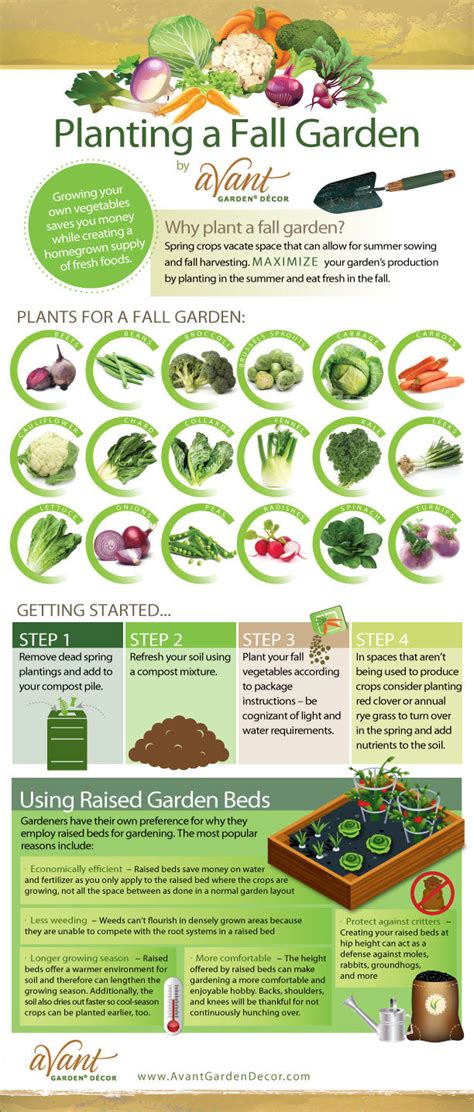 fall garden guide for beginners