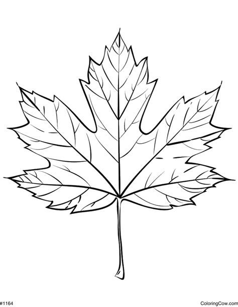 fall leaf coloring page