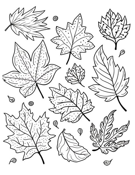 fall leaves coloring pages free