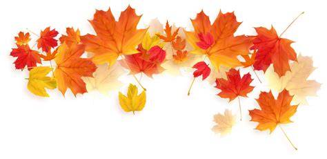 fall leaves png
