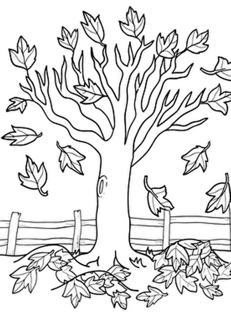 fall tree leaves coloring page