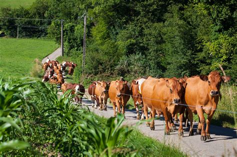 farming & wildlife advisory group