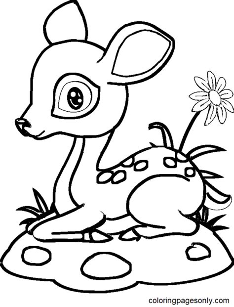 fawn coloring pages