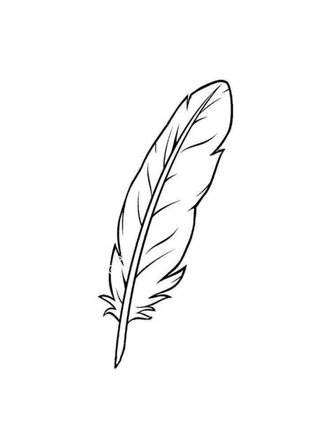 feather coloring pages