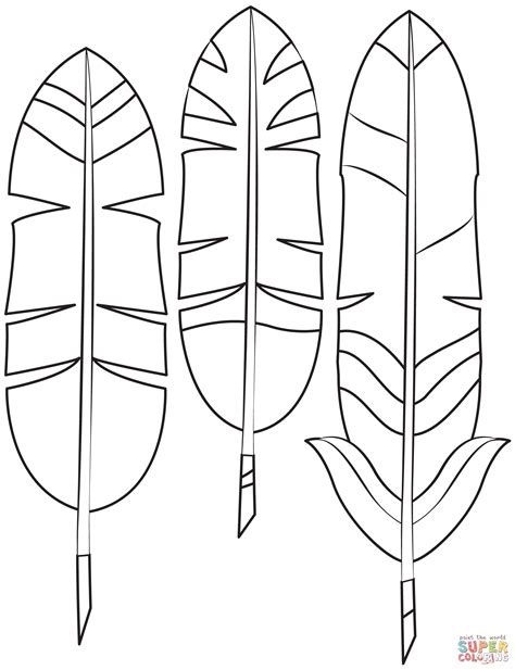 feathers coloring pages printable