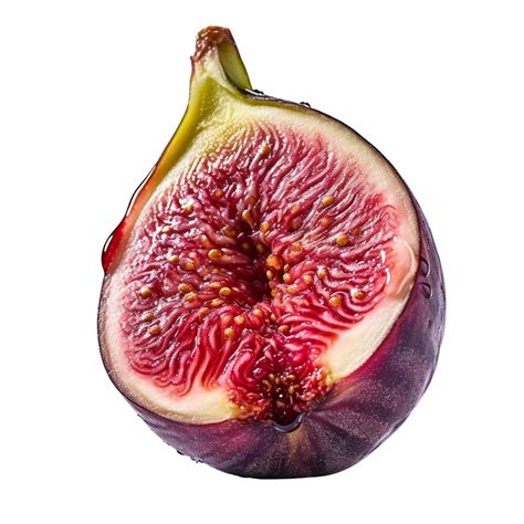 fig bottom